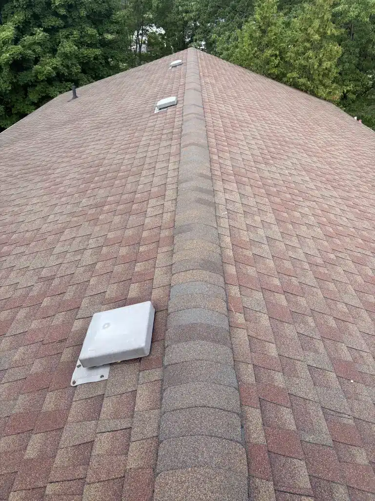 Red shingle rooftop with three vents, trees behind, under cloudy skies in Baden, Ontario.