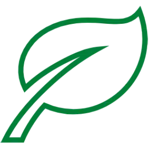 Large Green stylized onion logo on dark background, associated with roof and asphalt rejuvenation services.