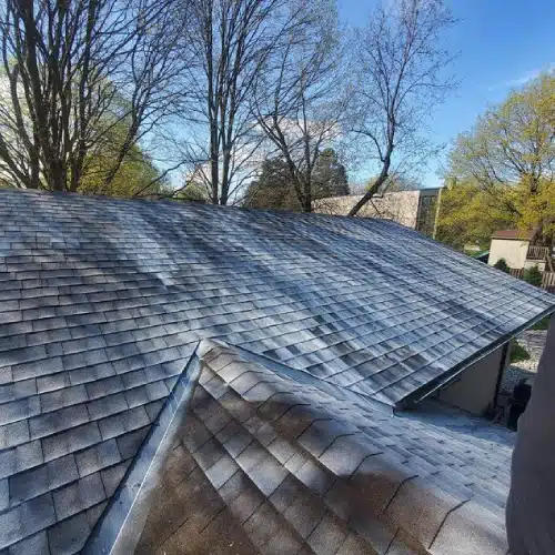New Project (9) Shingled house roof with white residue surrounded by trees.